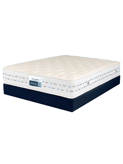 01Victoria768x1024_1024x1024-removebg-preview