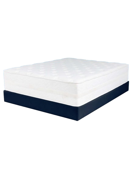 01Lola768x1024_1024x1024-removebg-preview