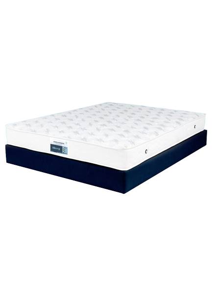 01Marvy768x1024_1024x1024-removebg-preview