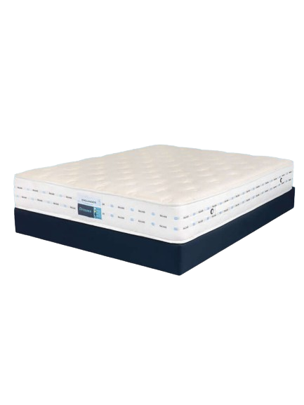 01Dreams768x1024_1024x1024-removebg-preview