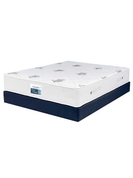 01SuperClassic768x1024_1024x1024-removebg-preview