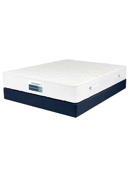 01Seasonal768x1024_1024x1024-removebg-preview