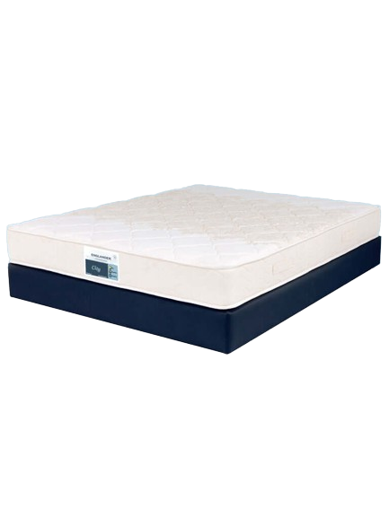 01City768x1024_1024x1024-removebg-preview