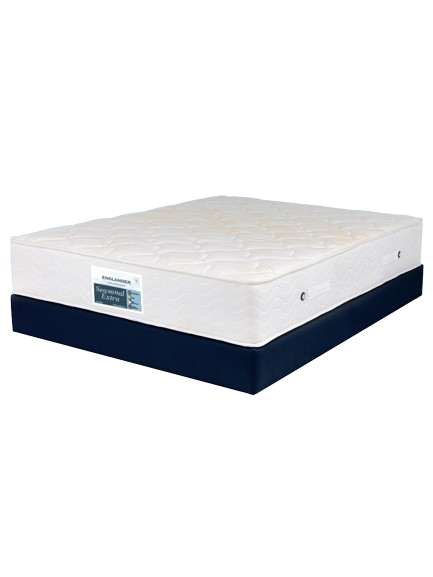 01SeasonalExtra768x1024_1024x1024-removebg-preview